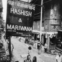 Mr. Aryan Bharati的照片