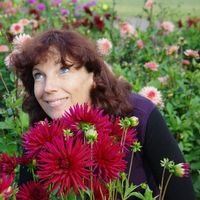 Audrone Treciakauskiene的照片