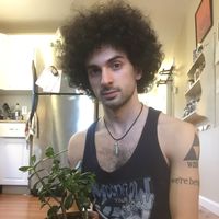 Daniel Perlstein's Photo