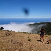 Fotos de Romea Družetić