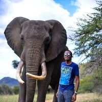 Zeddy Msagha's Photo