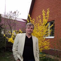 Andrey Kuzmichev's Photo