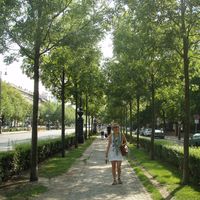 Anna Ruatta的照片