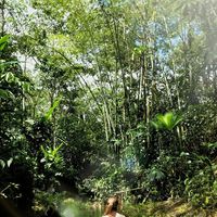 Linda Vanessa Villarreal的照片