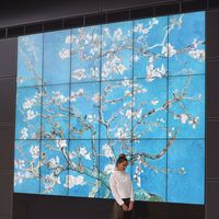 Anna Besedina的照片