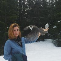 Lara Sagatov's Photo