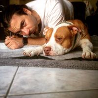 Lelos Lelou的照片