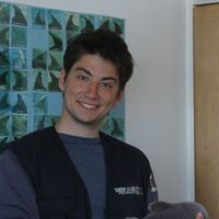 Valentin Neamtu的照片