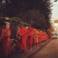 Fotos de Kenta Shinohara