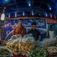 Behrang Lezard's Photo