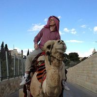 Jake Blumer的照片