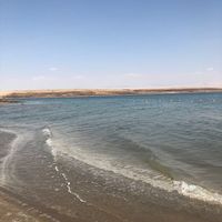 Fotos de Mosaab Balo