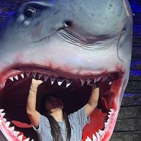 Ranoxon Muxammadiyeva's Photo