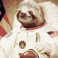 Le foto di Sakarias Rehnström