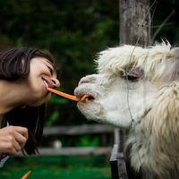 Sofia Cacuango's Photo