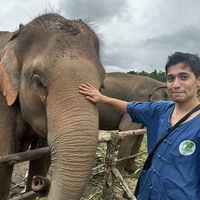 Safa Yavuzdoğan的照片