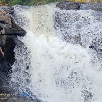 Roopa Grace的照片