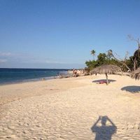 Carla Rodriguez的照片