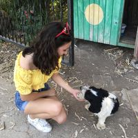 Elif Şengezer的照片