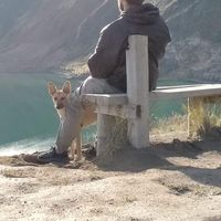 Harold Hernandez's Photo