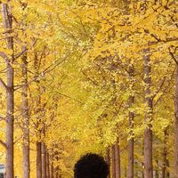 Pial Rezwan的照片