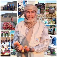 Mouhmoud Mouta的照片