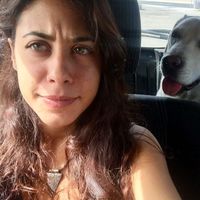 Le foto di erika paradisi