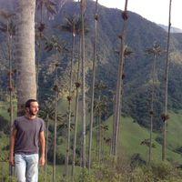 Hugo pillegand的照片