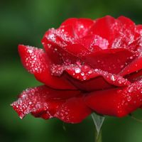 Zicxa hình ảnh - Trang chuyên hình ảnh đẹp's Photo