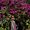 Paula Duda's Photo