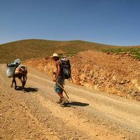 Lorenzo Sebastio的照片