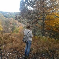 femke smolenaars's Photo