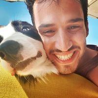 Moses Bar david的照片