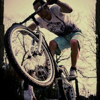 Matthias Bussels的照片