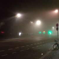 Фотографии пользователя rim ben fraj mystic eva