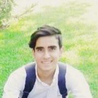 habib vaziri's Photo