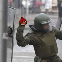 Le foto di Suat Vardar