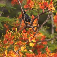 Sancho Saladar's Photo