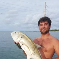 James Moseman的照片