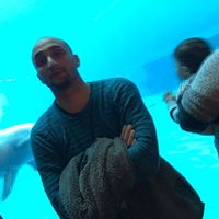 Fotos von Vincenzo Granato