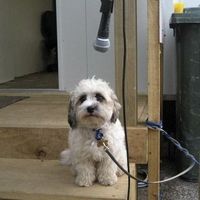 Fotos de Adam Feeley