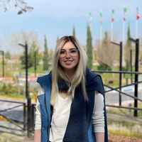 Nikki Navidi的照片