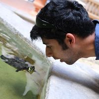 Dhruv Nanavati's Photo