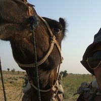 Sven Koeppel的照片