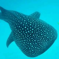 Bakari Mjenga's Photo