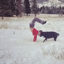 Winter yoga: morning's picture