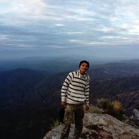 David Navarro的照片