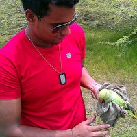 Syed Razzaq的照片