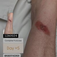 Robert Hedrén的照片