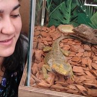 Daniela  Figueroa的照片